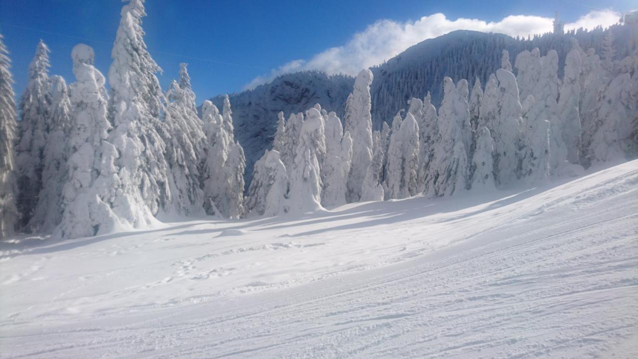 Apartament 2706 Alpin Resort, Etaj 7, Poiana Brasov Exterior foto
